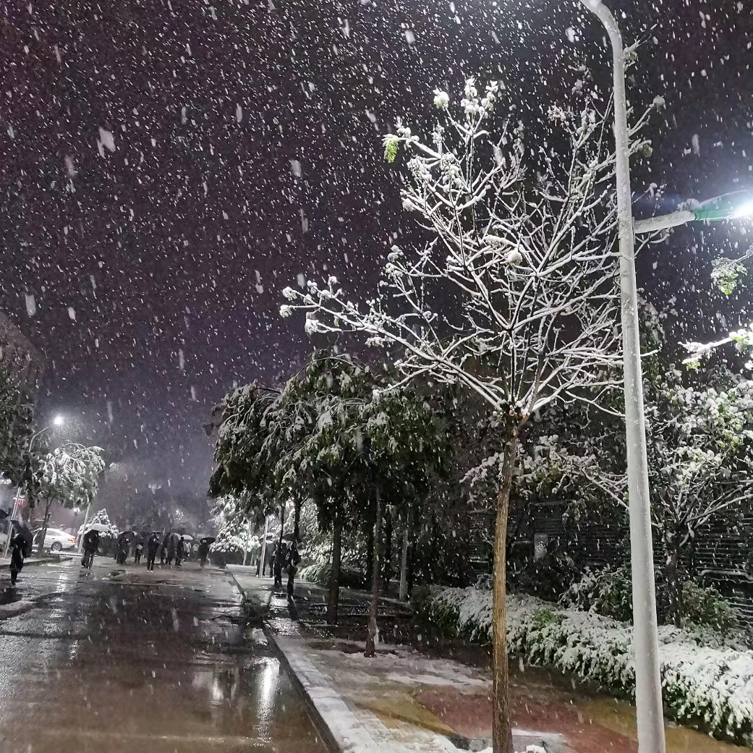 枼许、ꦿྂ҈清҉ོ梅҉ྂ҉ꦿ