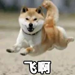 狗哥起飞了
