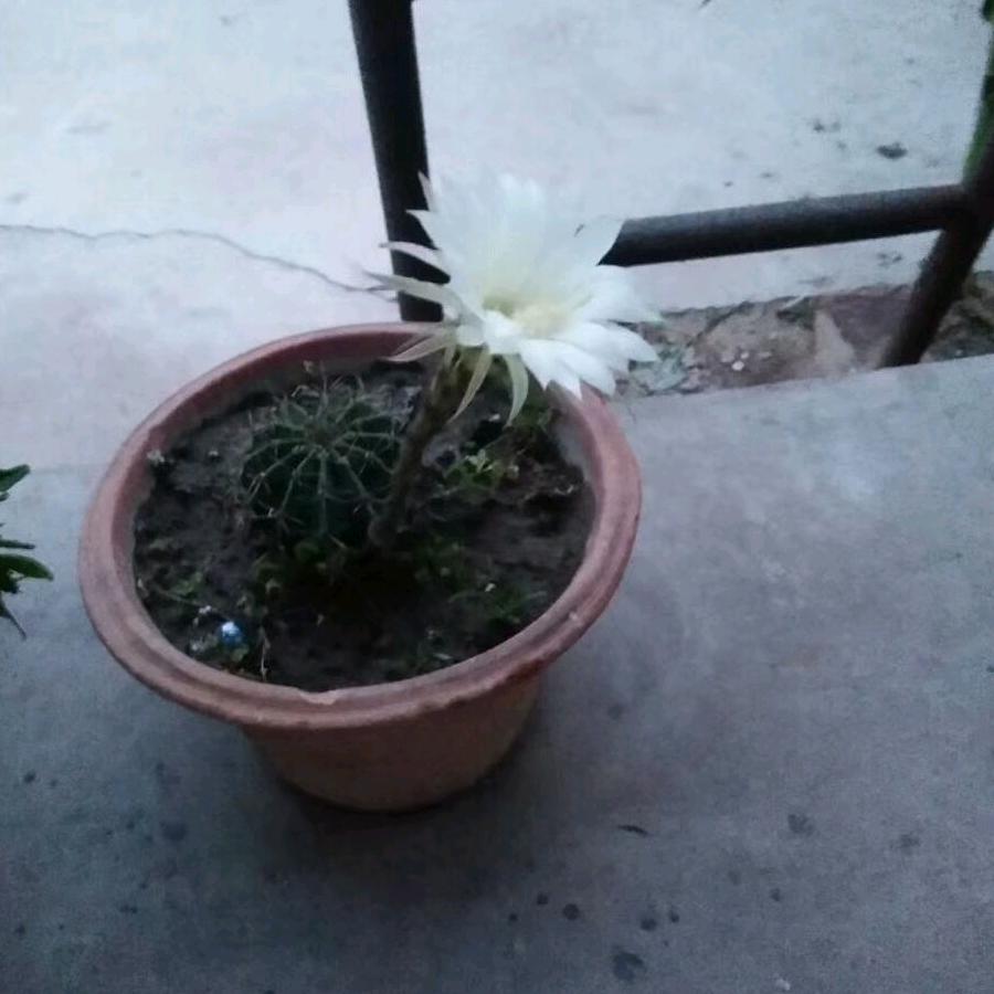 宇宙无敌大好人