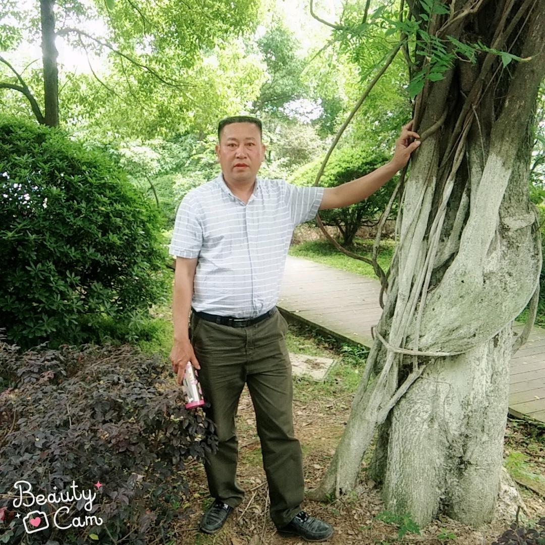 曹哥