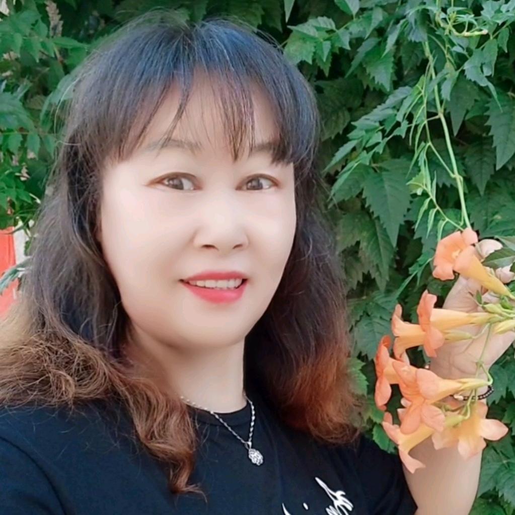 向阳红