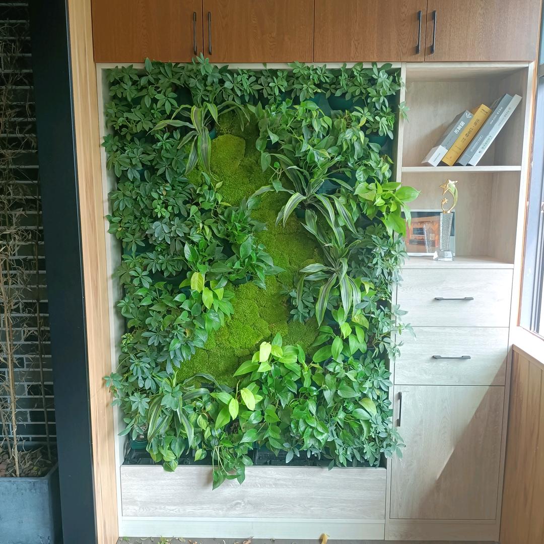 植物分配师