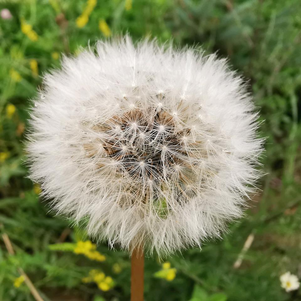 搞不懂hyj