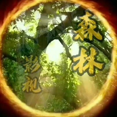 森林影视