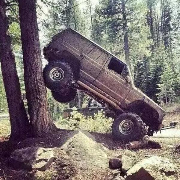 车老大网络信息