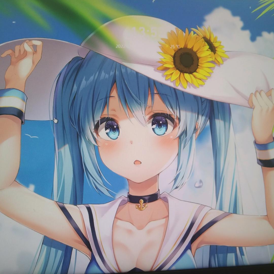 向日葵好物