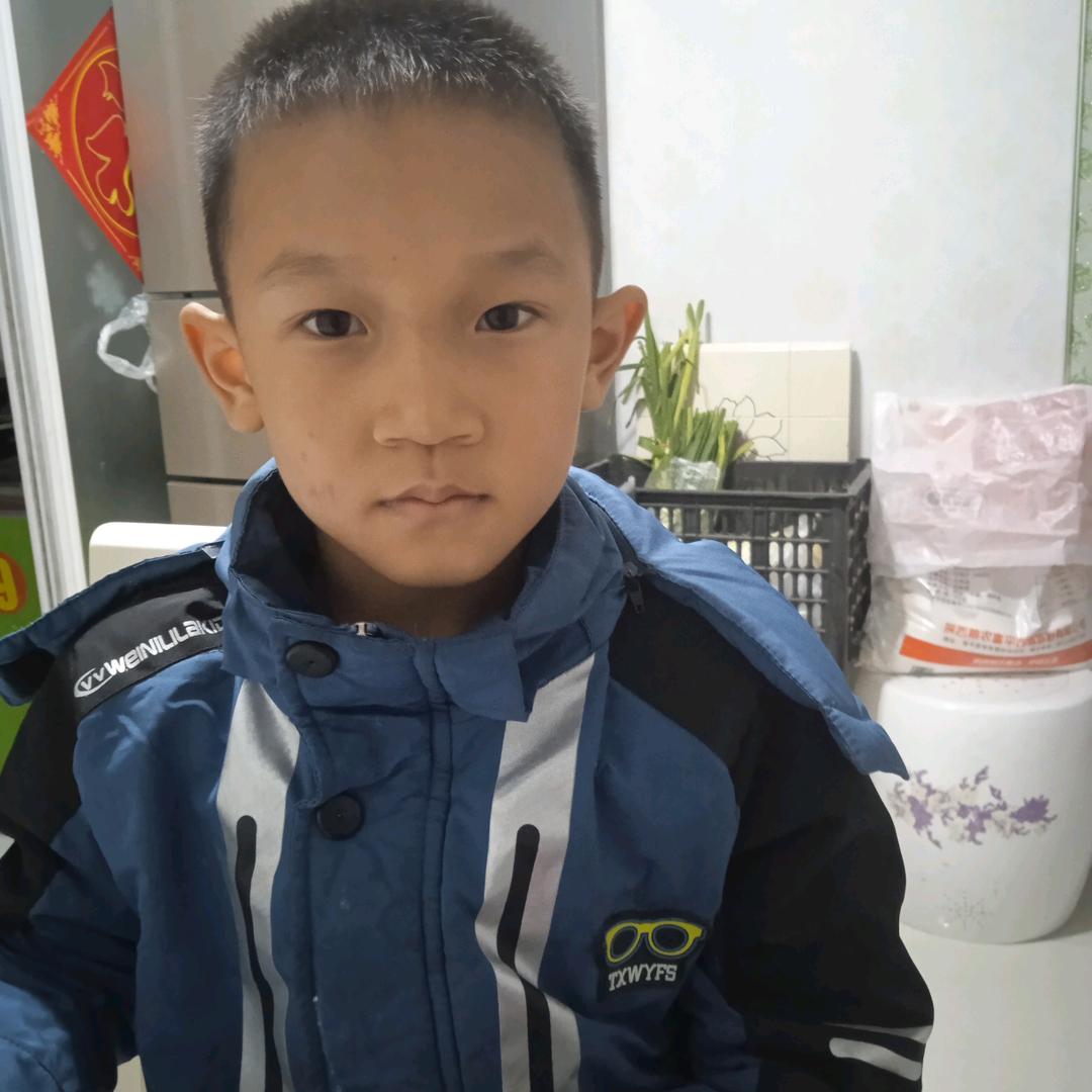 棒