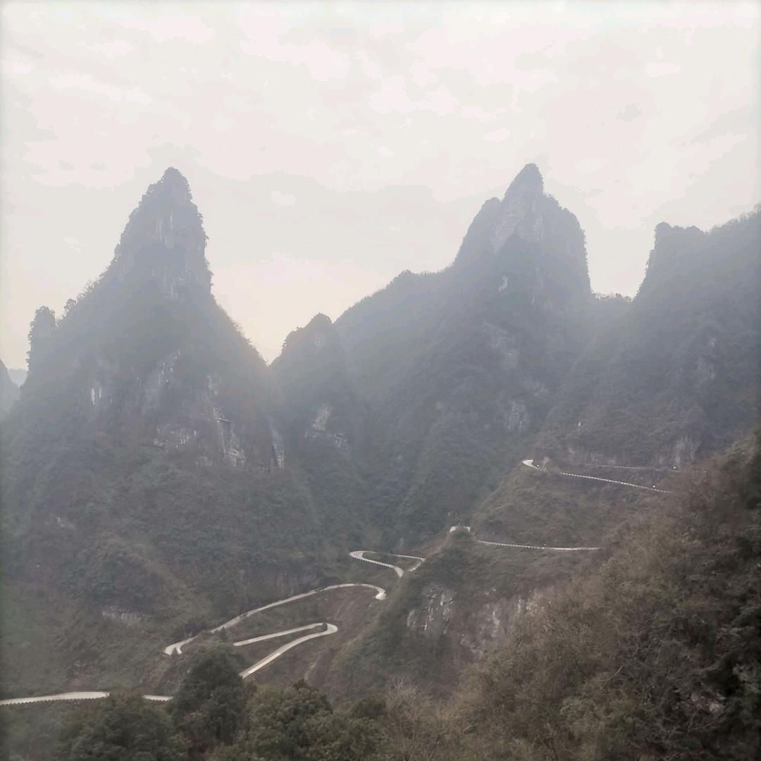 缘份