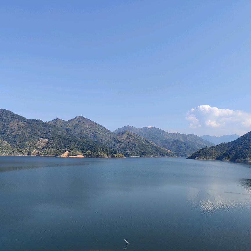 背着房子流浪头像