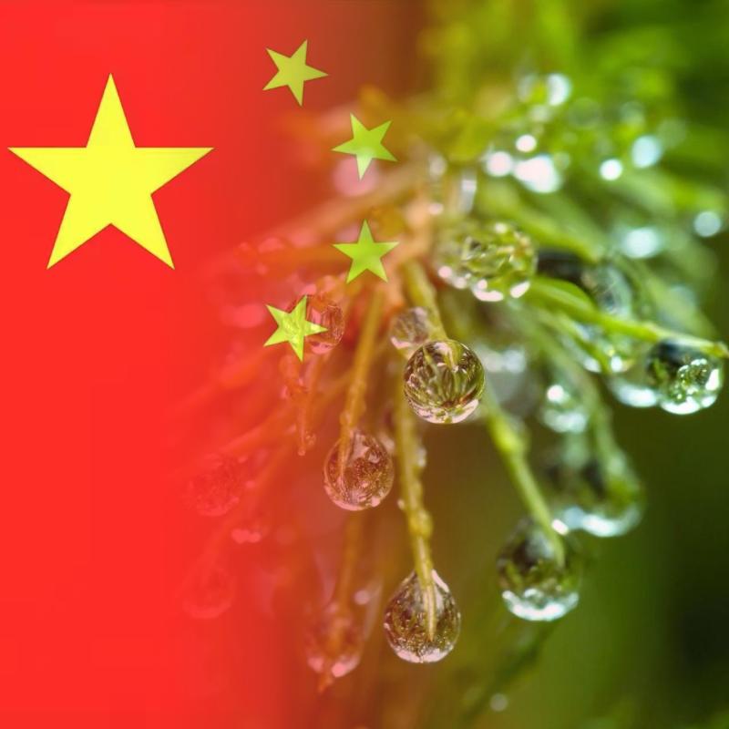 海阔天空(73的🐮😂）