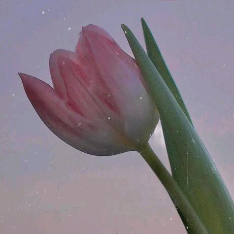 一生幸福