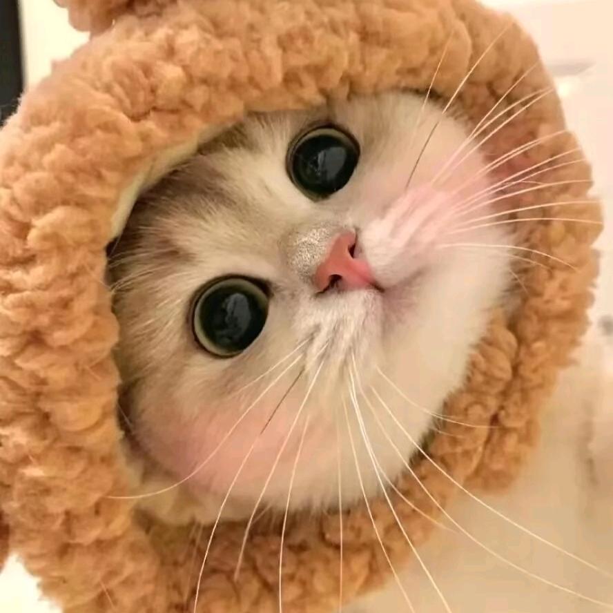 冬季下雪😍