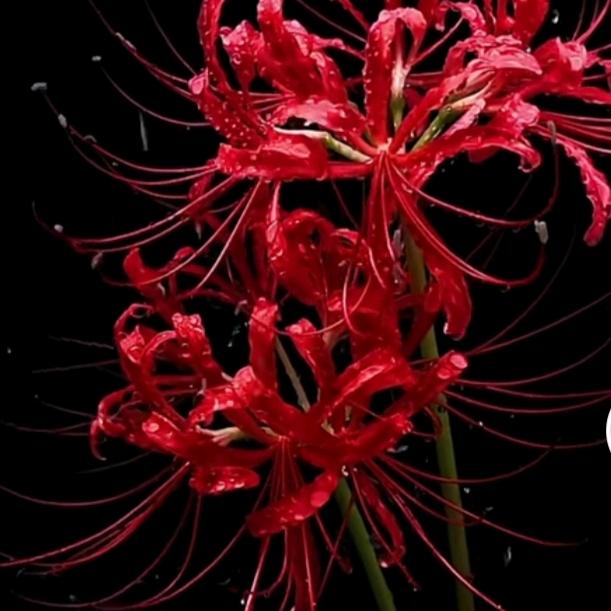 এ💕兴🌈爷དྷ༗༻