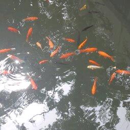 尚昀广头像