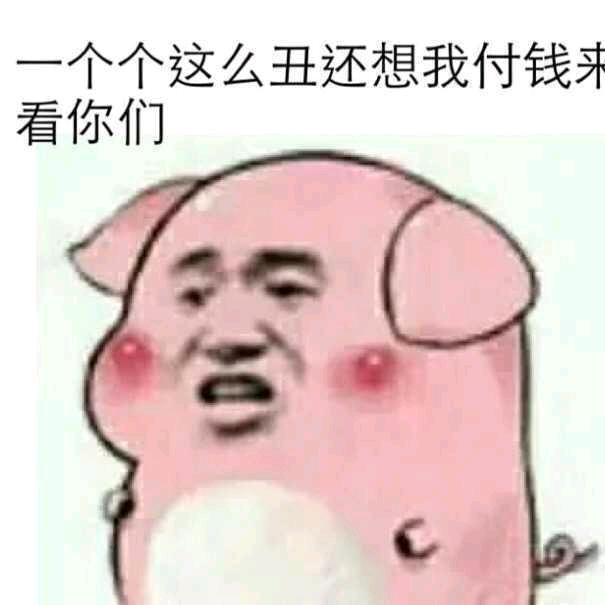 槑头槑脑