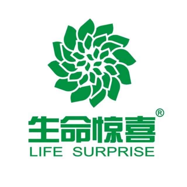 生命惊喜精英少年领袖张媛