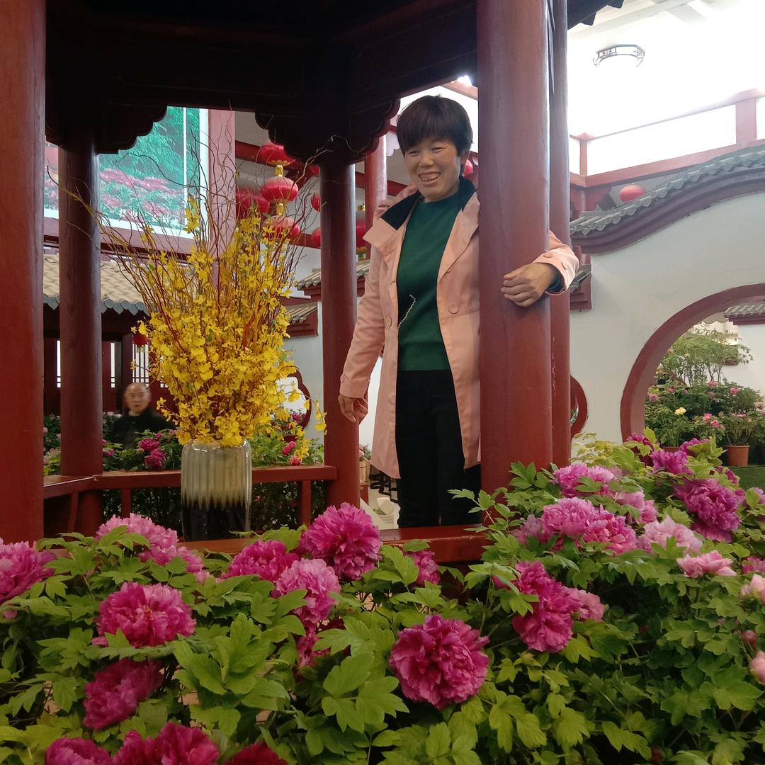 风雨过后又见彩红