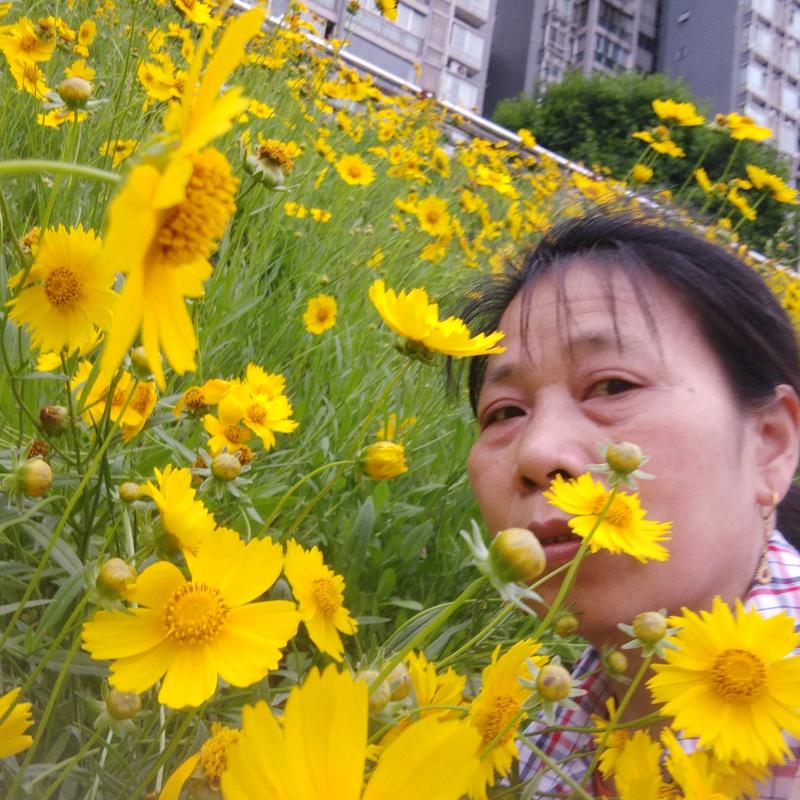 梁姐