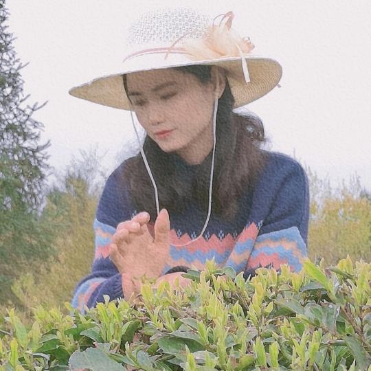 胜姐