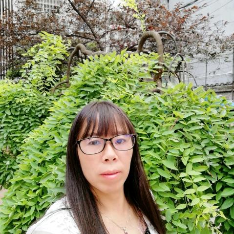 影颖