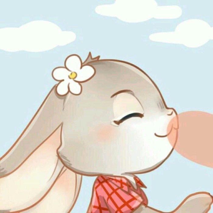 婷婷动画