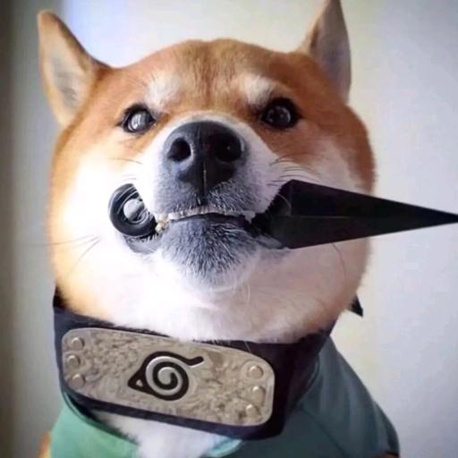 一打七