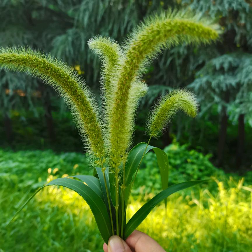 懂你