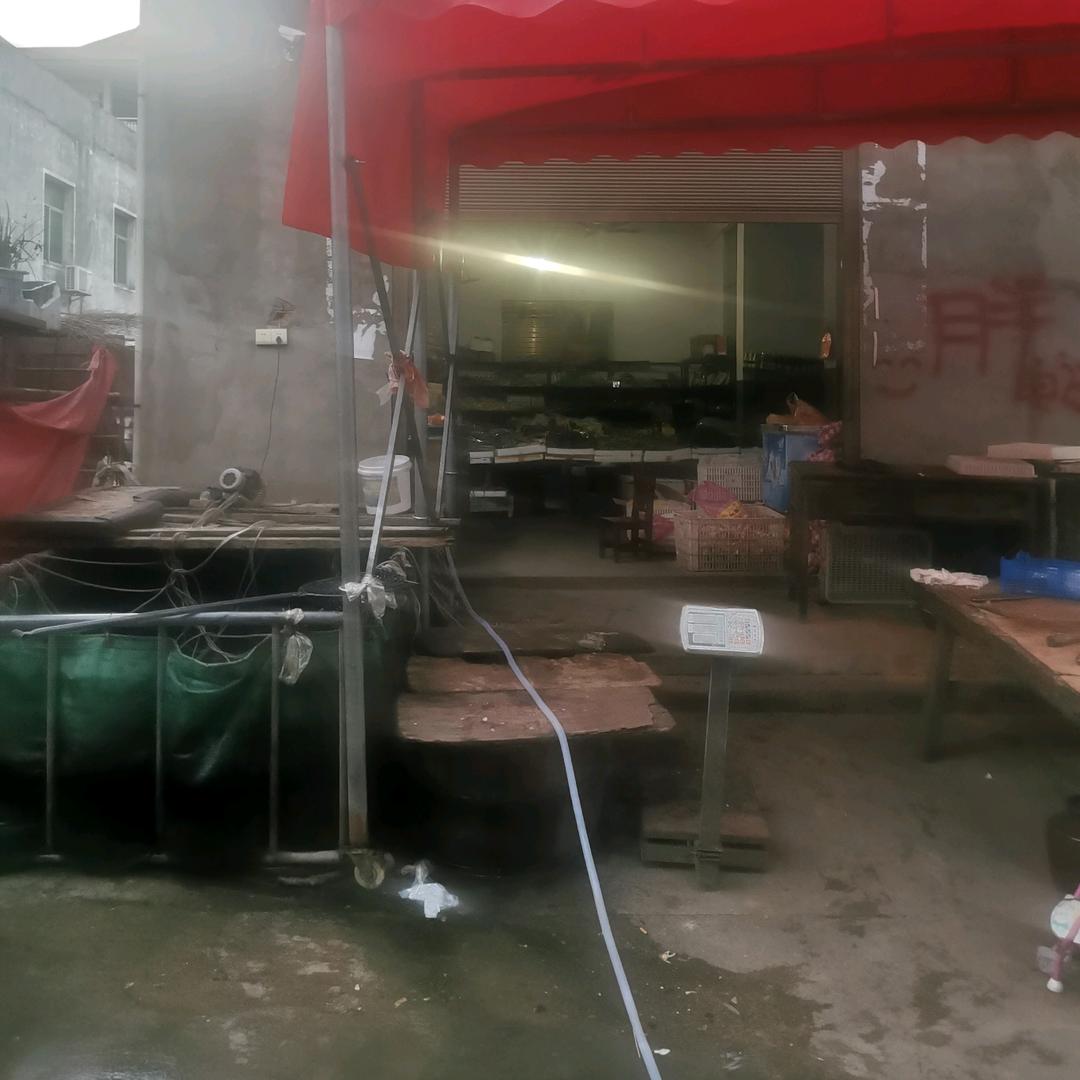 喆桥蔬菜鲜鱼批发店