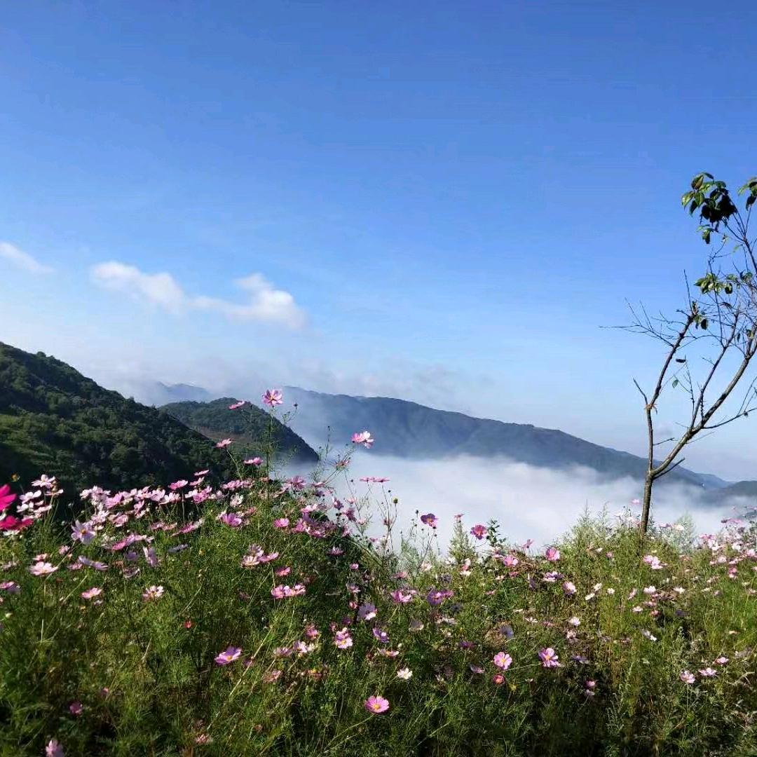 彝❤️彝意