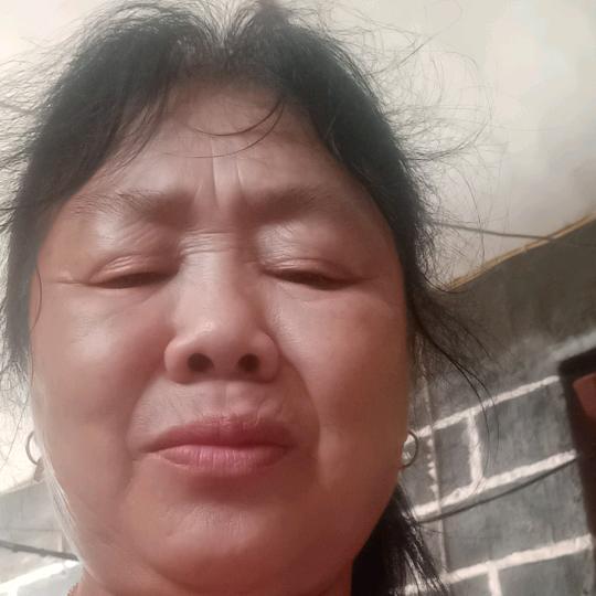 罗凤梅