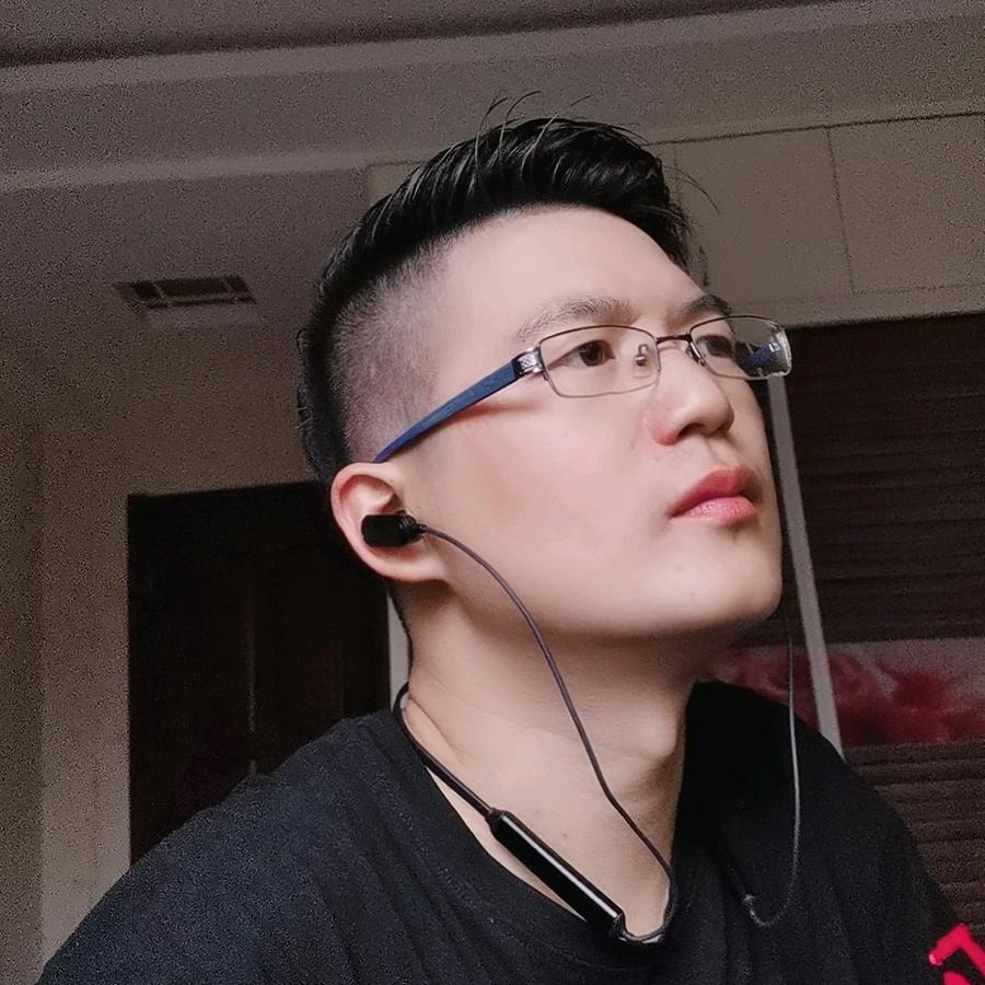 挽梦忆笙歌i