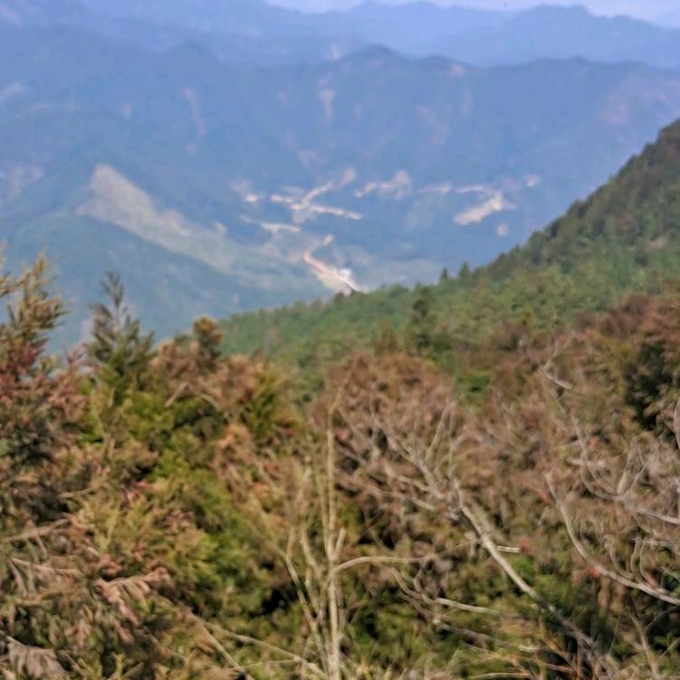 郝运降林