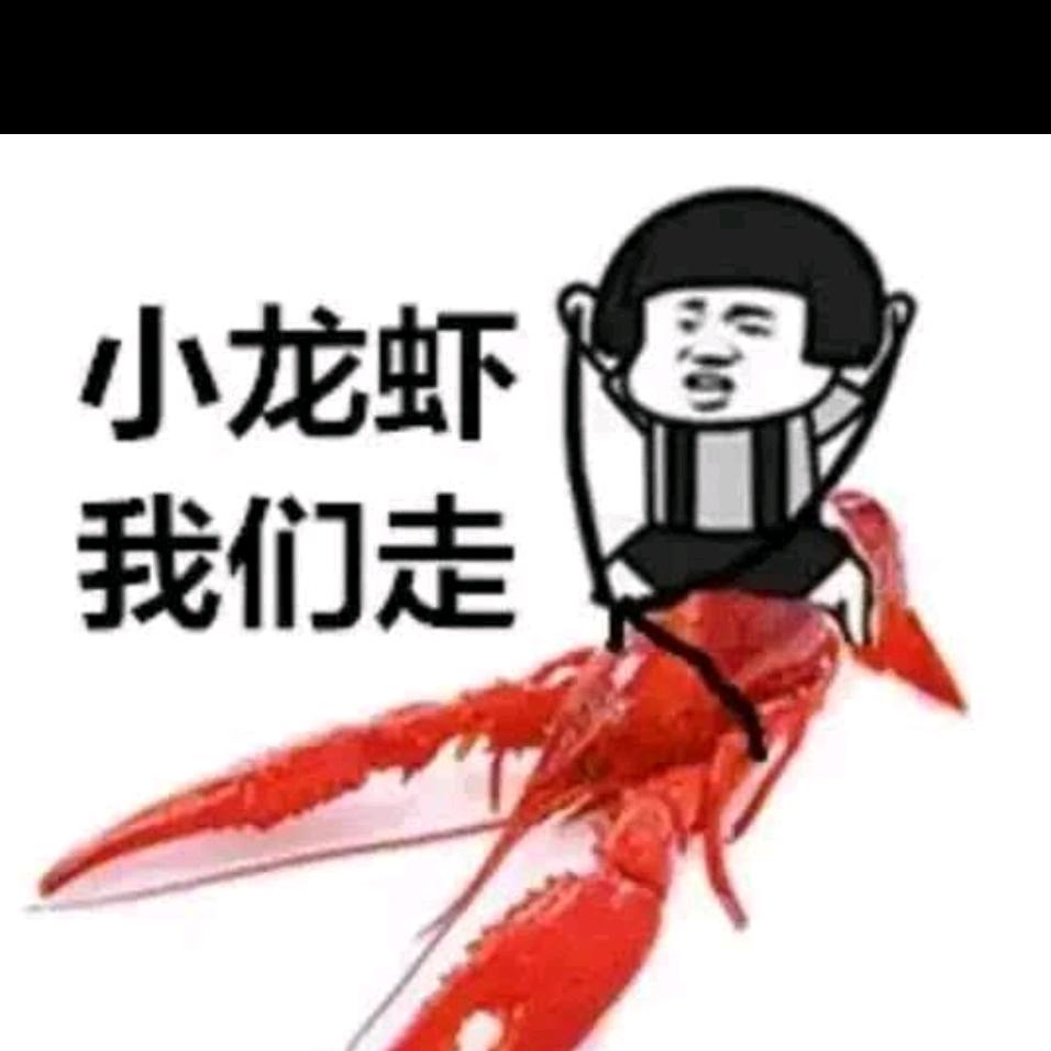 尧哥