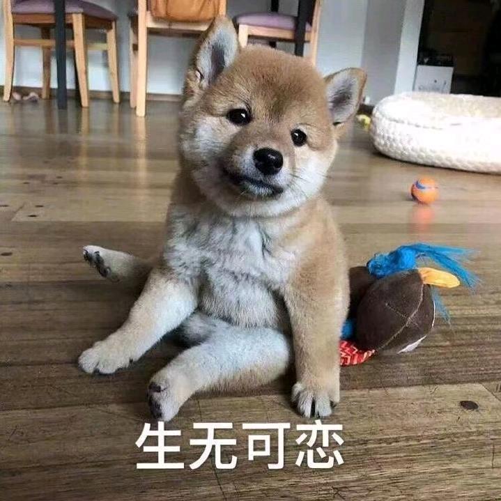 #江南第一深情