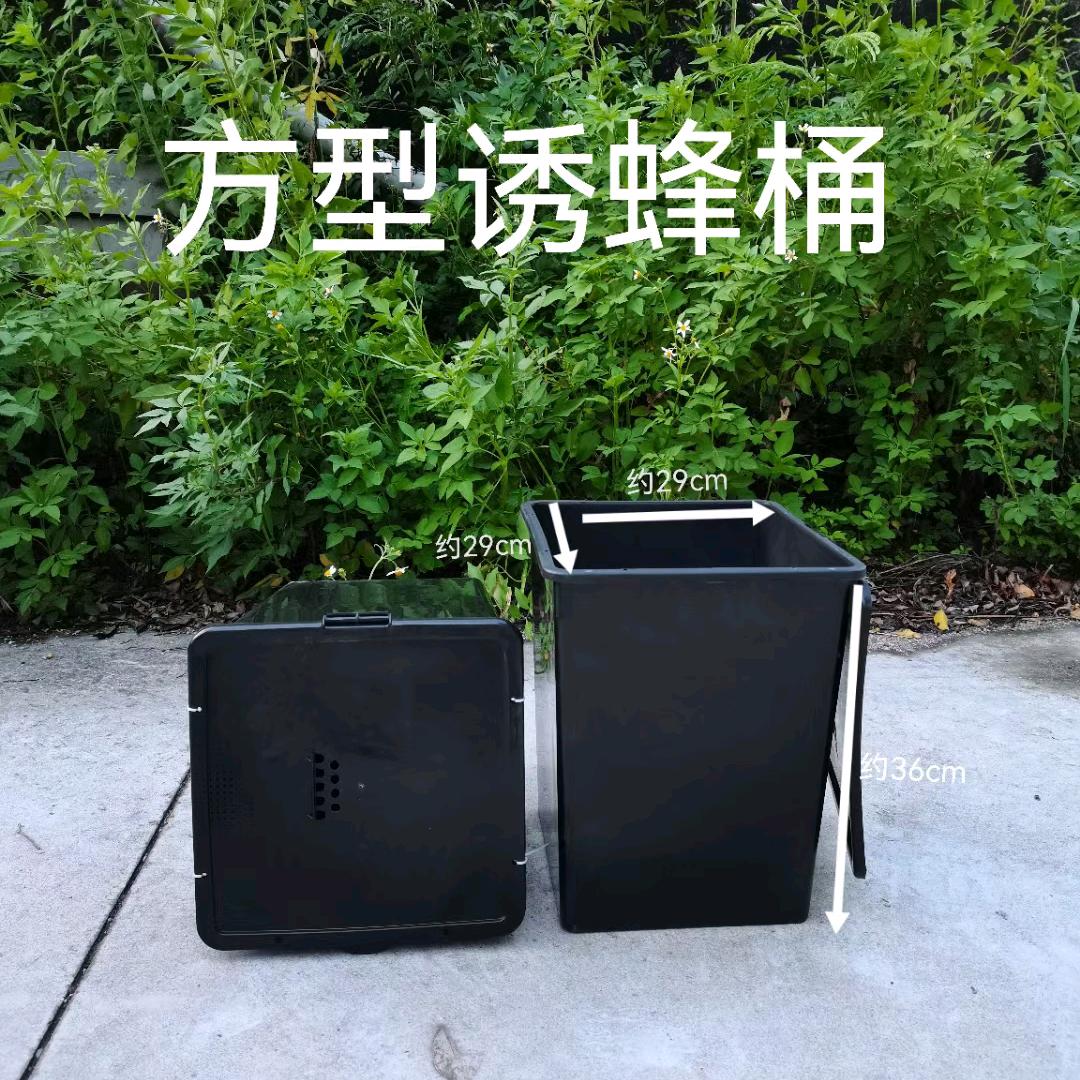 蜂桶哥