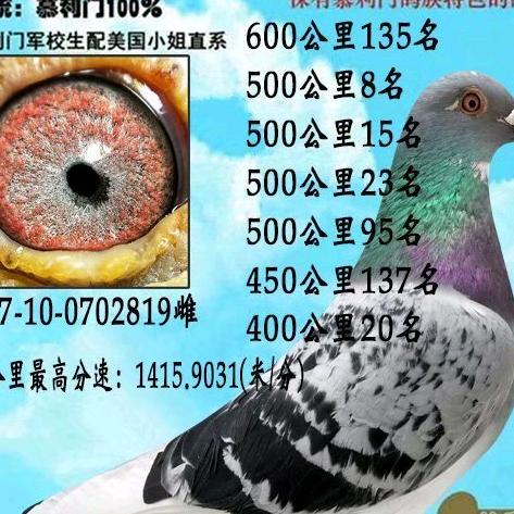 用户5557125218646无意中