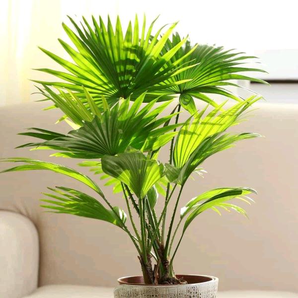 风雨无阻，¹⁸¹⁸