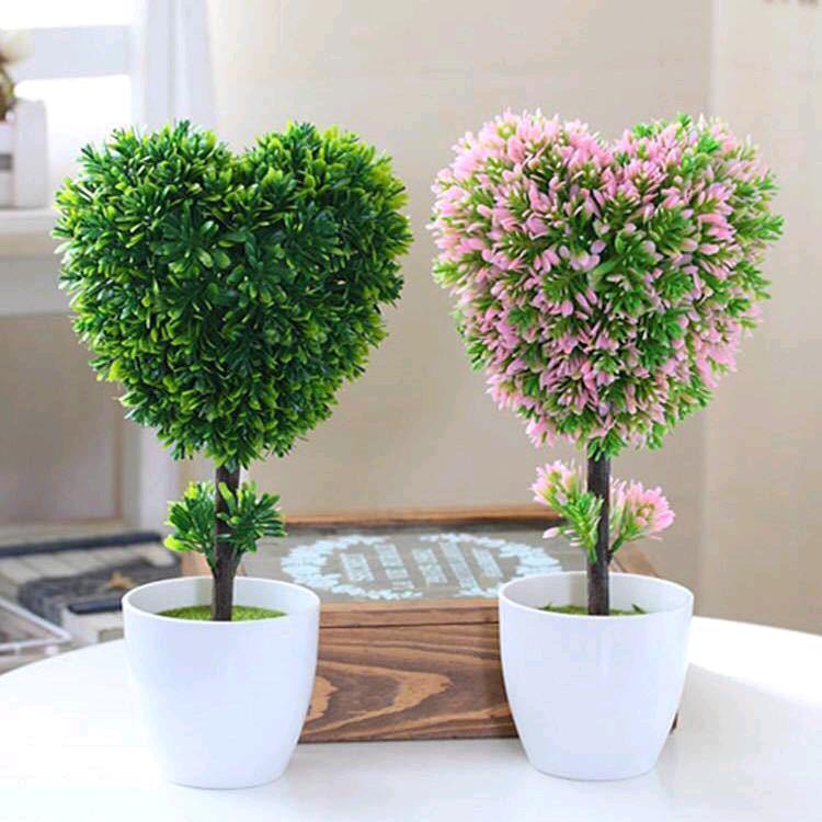 桃桃💕