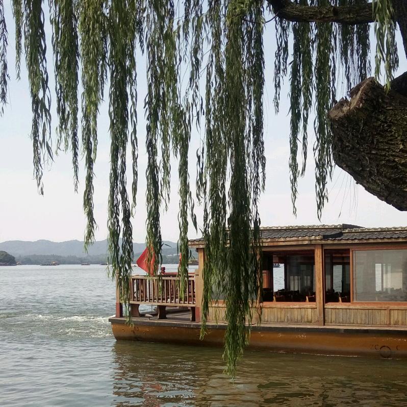 一半回忆，一半继续