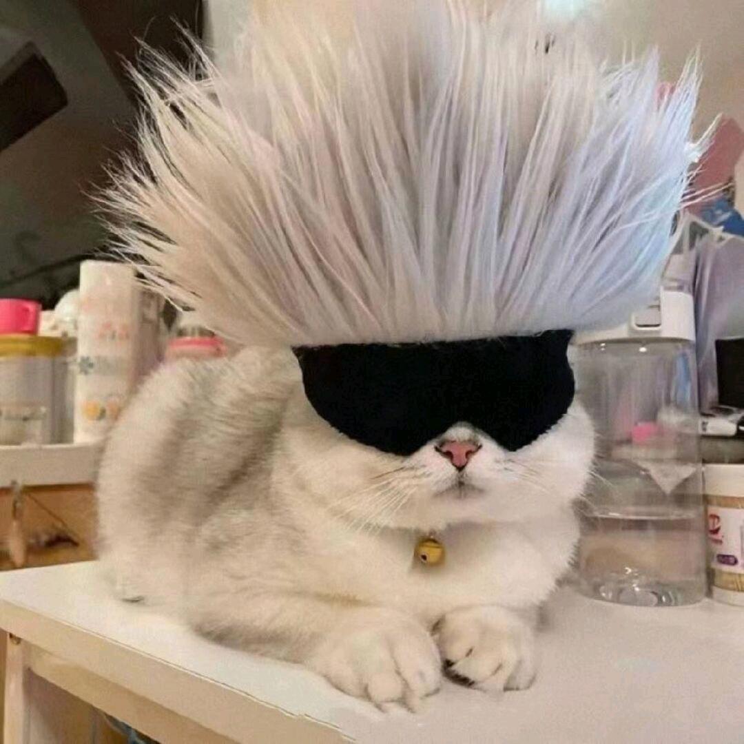 一只肥旭
