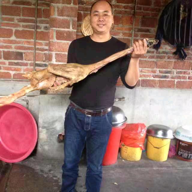 七里大树资华土菜馆