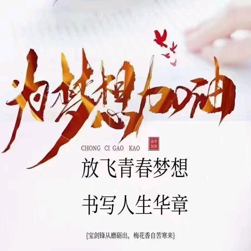 龙在江湖24
