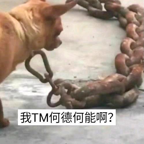 一位可疑的网友