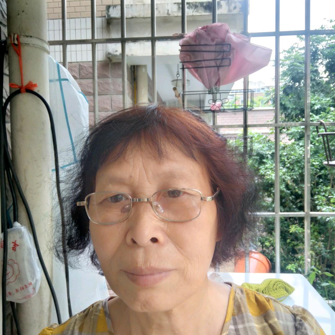 田田小猪