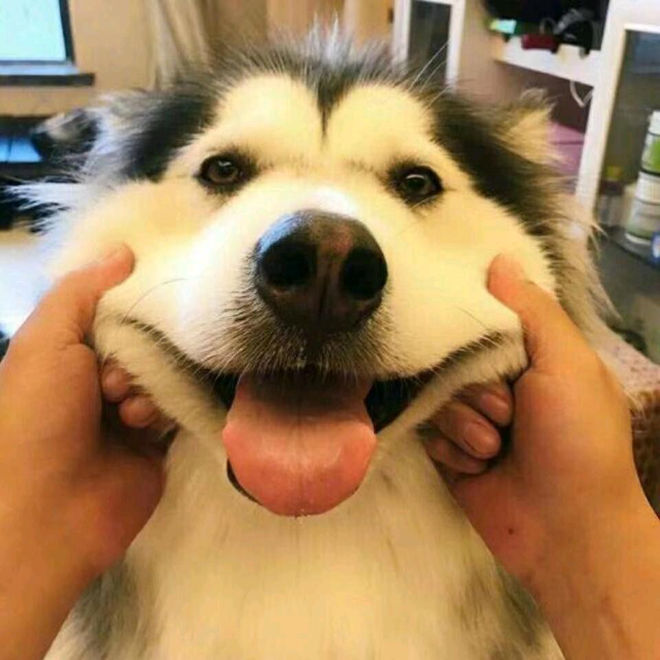 就酱。
