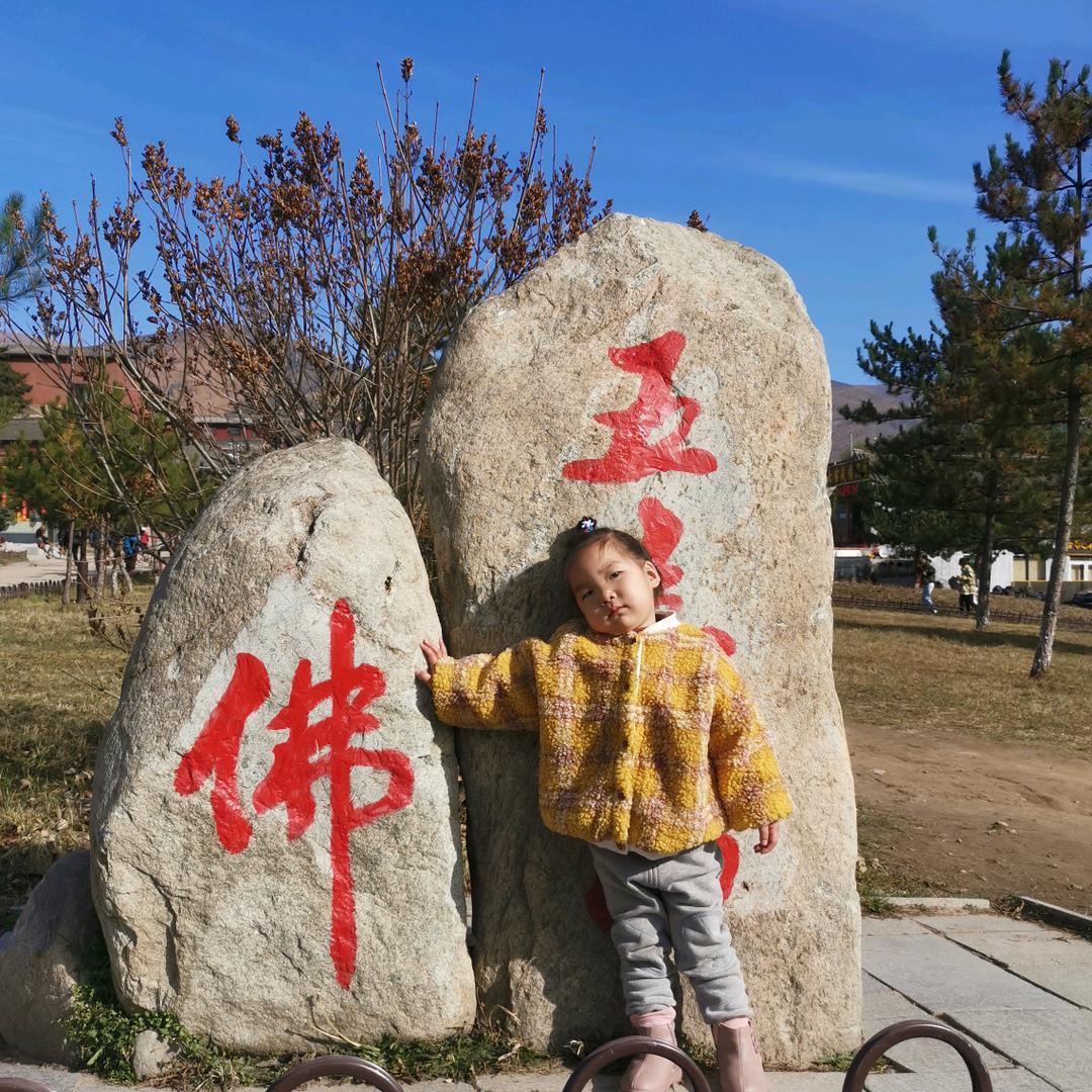 果哥，JINGXIN
