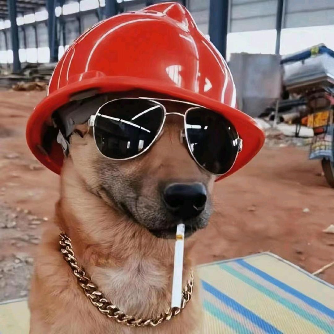 ο▬▬▬▬▬▬▬◙▅▅▆▆▇▇◤