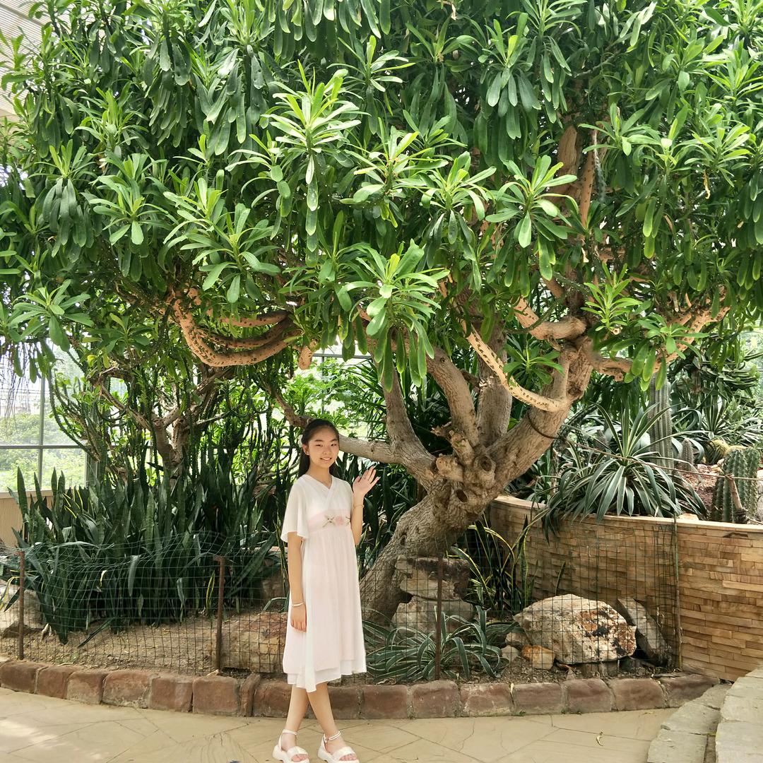 会飞的苹果٩(๑^o^๑)۶