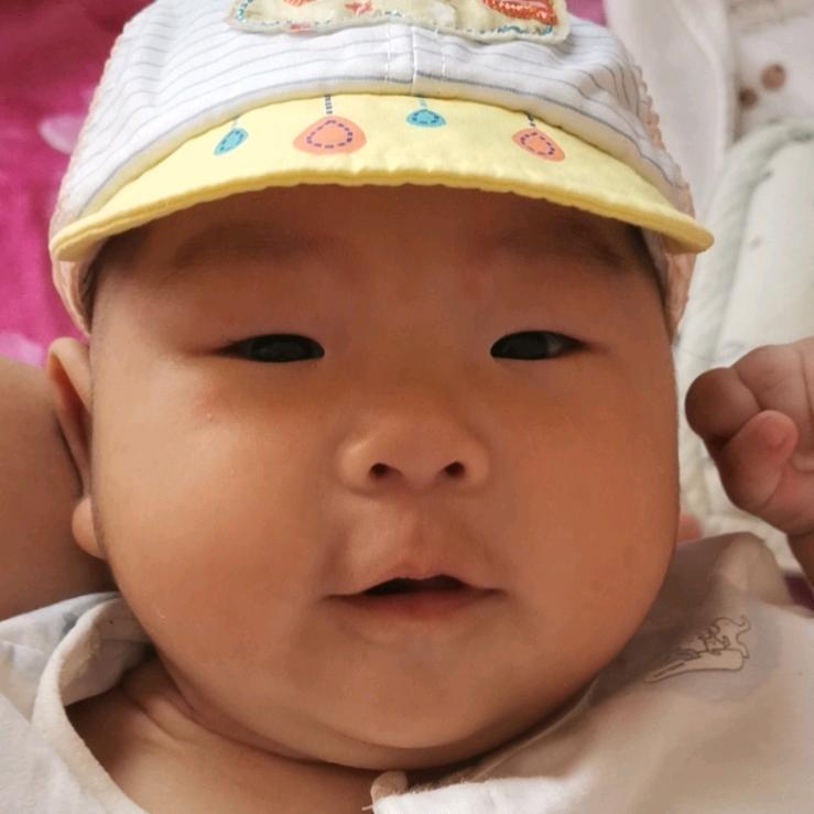 逗逗