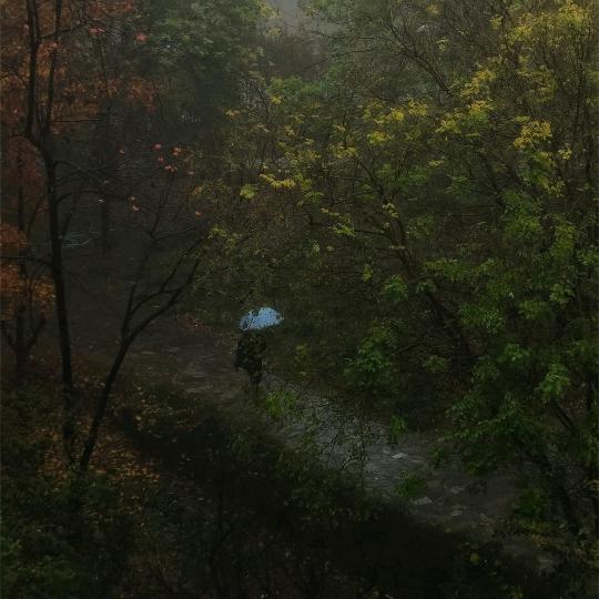 风之涌动